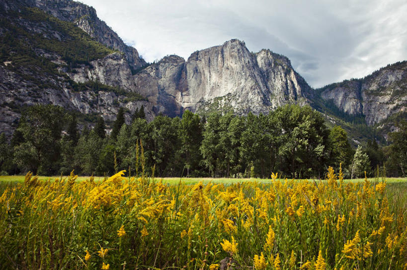 无人,横图,室外,白天,草地,美景,山,山脉,美国,景观,云,花,树,风景,天空,自然,景色,摄影,生长,宁静,加利福尼亚,自然风光,优胜美地国家公园,彩图,优胜美地瀑布