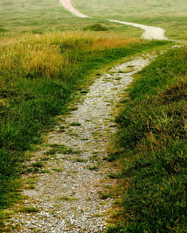 无人,竖图,室外,白天,英国,地形,田地,草,自然,摄影,彩图