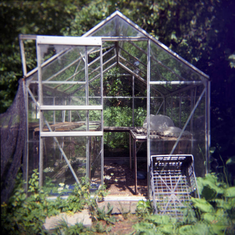 无人,方图,室外,白天,农业,门,建筑,英国,塑胶,温室,树,打开,靠,靠着,摄影,宁静,开启,板条箱,牛津郡,彩图