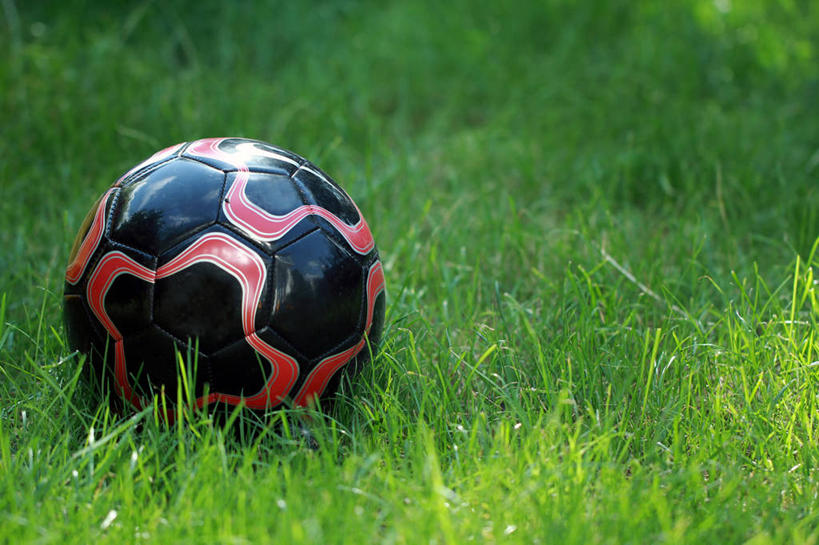 无人,横图,室外,特写,白天,运动,足球,德国,草,一个,摄影,单个,足球运动,彩图