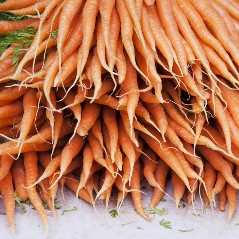 无人,方图,室外,特写,白天,胡萝卜,加拿大,许多,丰富,市场,很多,饮食,零售,摄影,有机食品,堆,清新,健康食物,大不列颠哥伦比亚,彩图,北温哥华