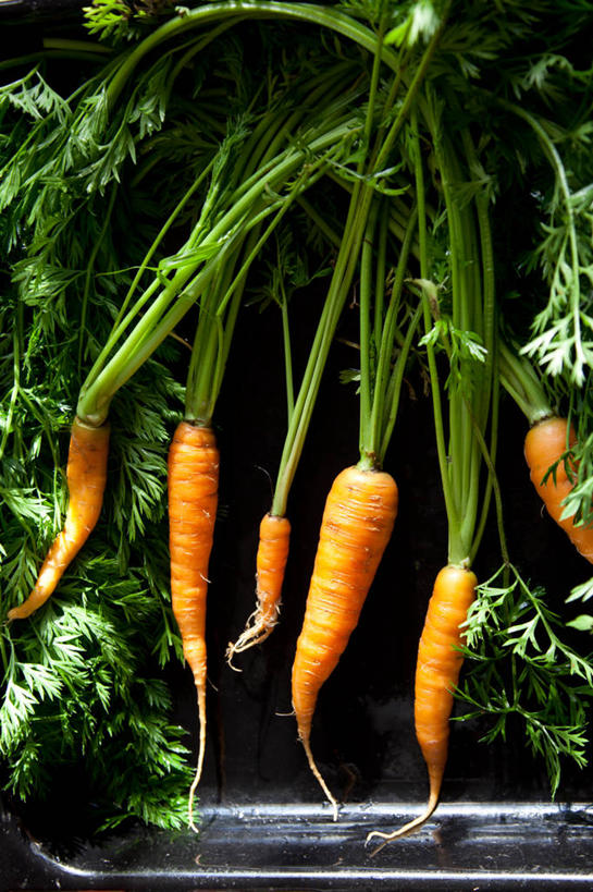 无人,竖图,胡萝卜,静物,黑色背景,摄影,有机食品,彩图,影棚拍摄