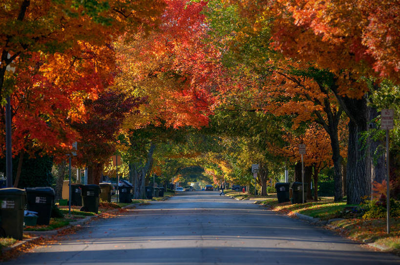 无人,横图,室外,白天,美景,路,叶子,美国,阴影,景观,树,树干,风景,自然,景色,摄影,宁静,北美,北美洲,自然风光,美洲,改变,北亚美利加洲,亚美利加洲,俄克拉何马,俄克拉何马州,俄克拉荷马州,奥克拉荷马,抢先之州,秋天,彩图,美利坚合众国