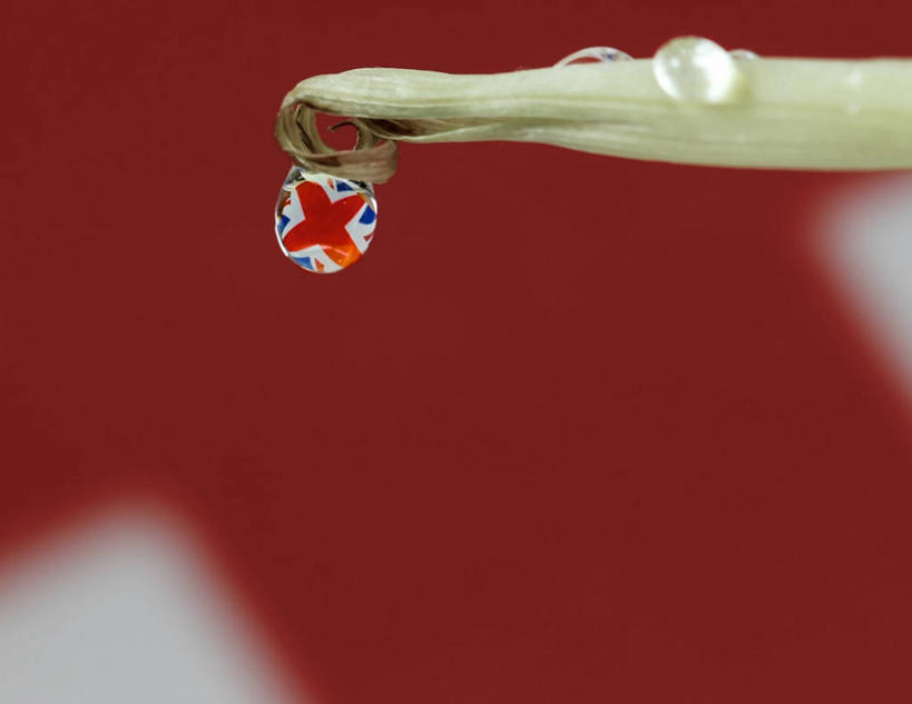 无人,横图,室外,白天,英国,折射,水滴,茎,摄影,脆弱,纯净,万里无云,想法,彩图