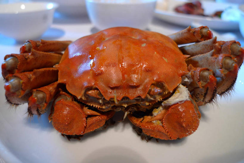 无人,横图,室内,特写,上海,螃蟹,饮食,一个,碗,摄影,单个,健康食物,海产,彩图