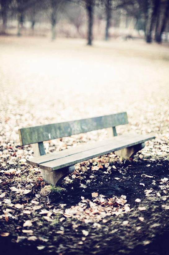 无人,公园,竖图,室外,白天,寂寞,椅子,德国,长椅,冬天,首都,柏林,寒冷,摄影,落下,彩图