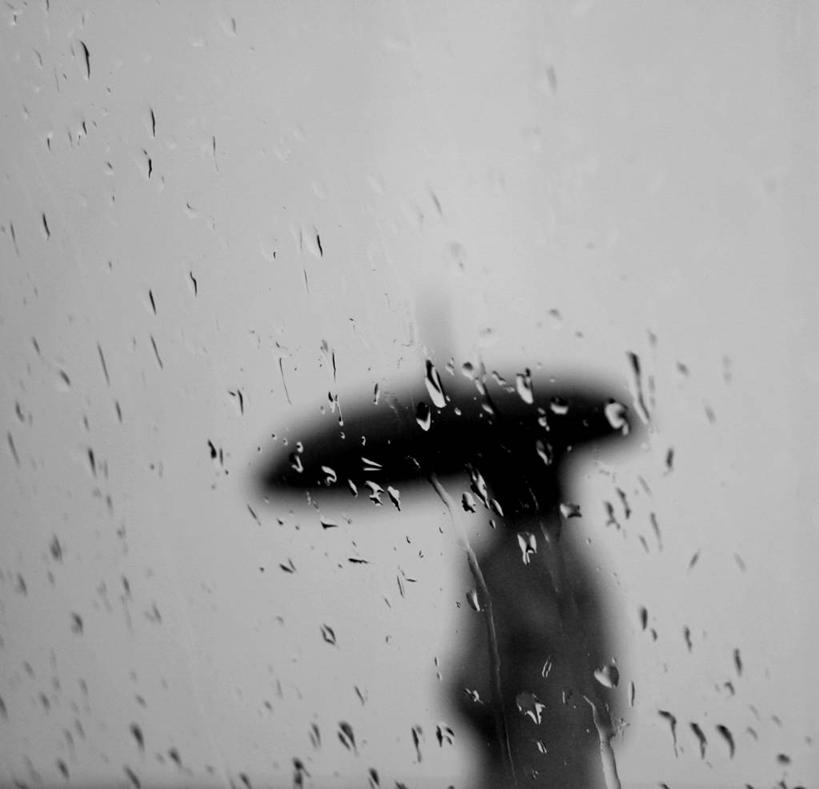 一个人,横图,黑白,室内,特写,雨,德国,透明,伞,天气,首都,拿着,柏林,雨滴,摄影,保护,剪影