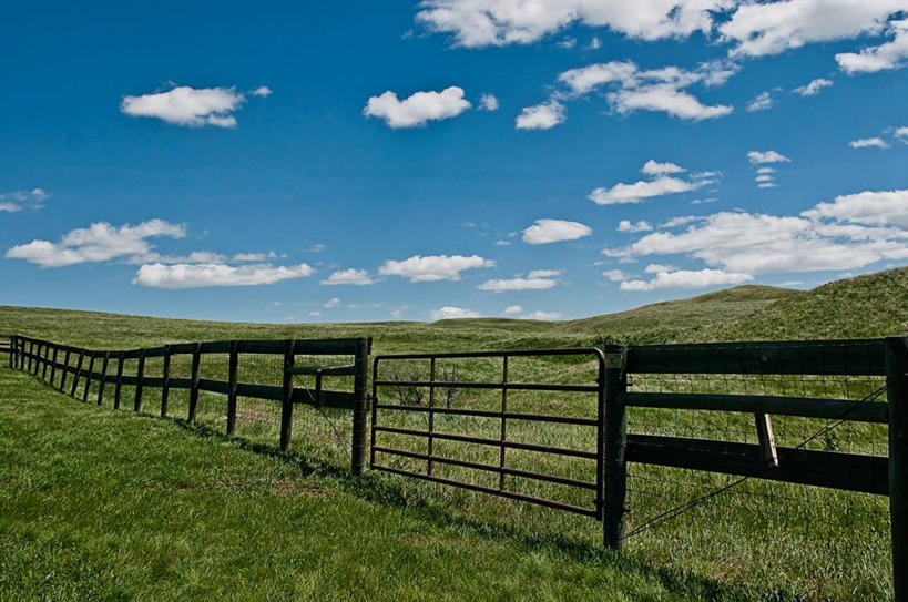 无人,公园,横图,室外,白天,美国,地形,篱笆,云,草,天空,自然,摄影,保护,北美,北美洲,国家公园,美洲,南达科他州,北亚美利加洲,亚美利加洲,南达科他,草狼之州,晴朗之州,卡斯特州立公园,考斯德州立公园,彩图,美利坚合众国