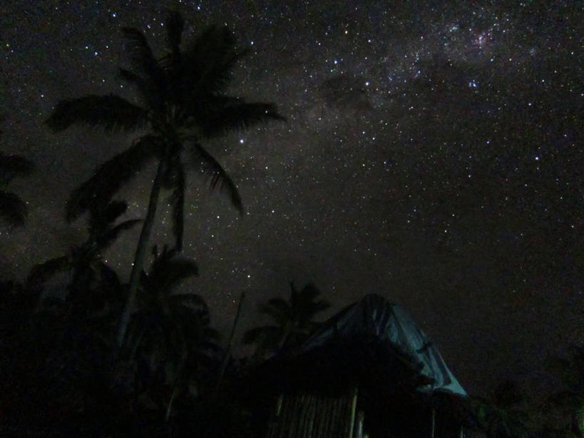 无人,横图,室外,夜晚,仰视,神秘,棕榈树,汤加,星星,自然,摄影,星系,宁静,照亮,银河系,萨摩亚群岛,彩图,低角度拍摄