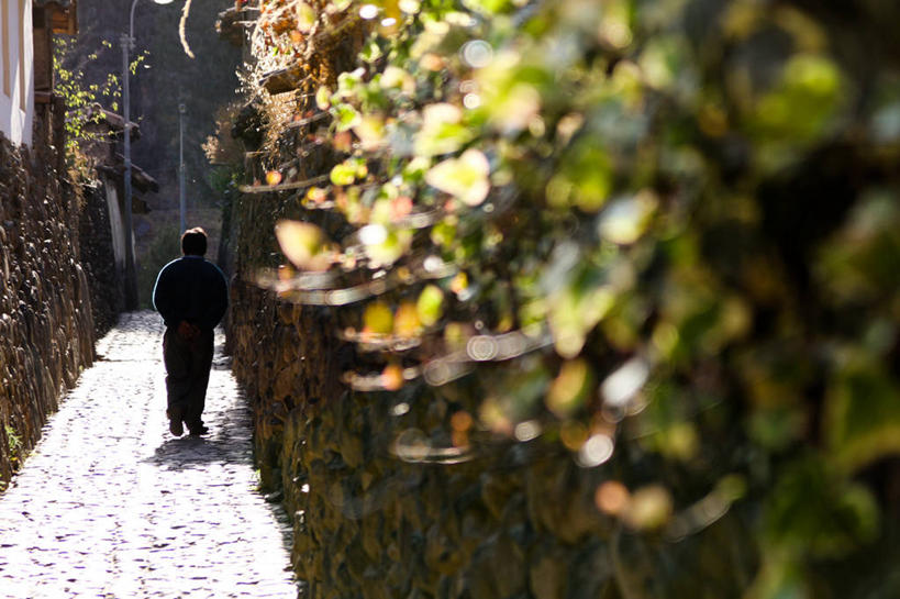 成年人,一个人,横图,室外,白天,寂寞,秘鲁,仅一个男性,围墙,小路,背面,藤蔓,摄影,藤蔓植物,步行,彩图,巷