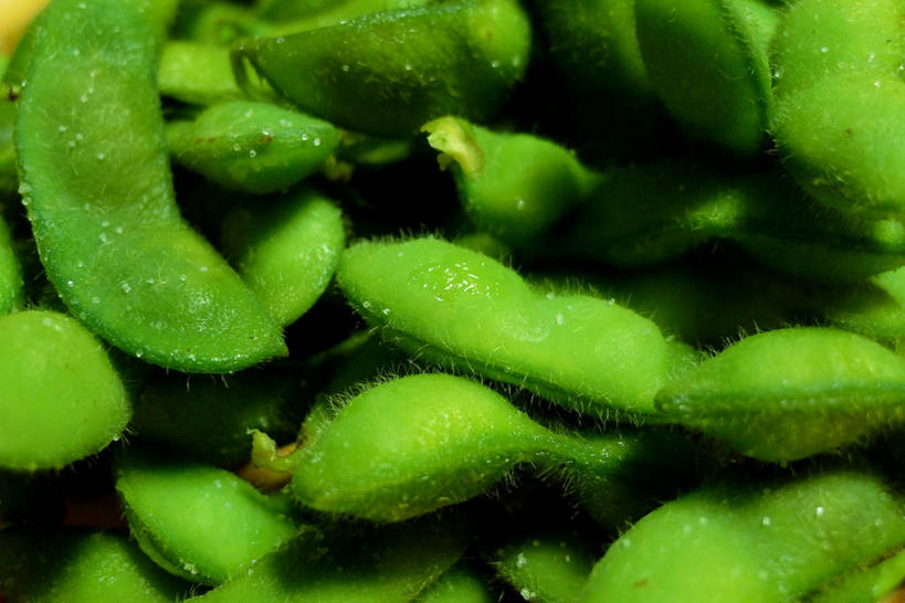 无人,横图,特写,蔬菜,日本,丰富,毛豆,饮食,绿色,摄影,清新,健康食物,彩图