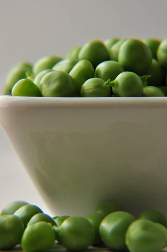 无人,竖图,特写,白色背景,蔬菜,美国,丰富,豌豆,饮食,碗,摄影,清新,健康食物,华盛顿州,彩图,影棚拍摄