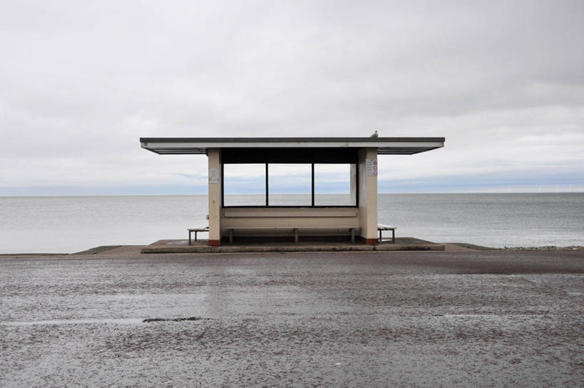 无人,横图,室外,白天,海洋,海鸥,英国,鸟类,云,摄影,宁静,威尔士,彩图