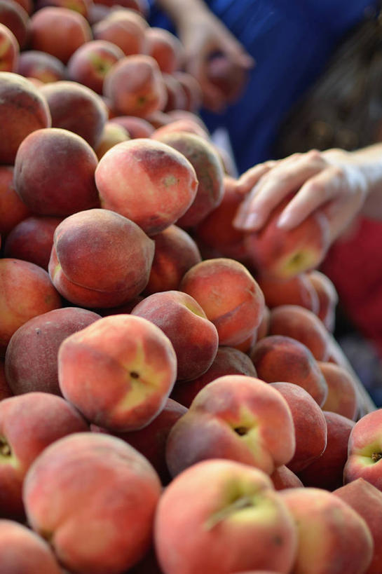 成年人,手,一个人,竖图,室外,白天,商务,水果,美国,仅一个女性,丰富,市场,首都,桃,零售,握紧,摄影,部分,挑选,清新,选择,华盛顿特区,彩图