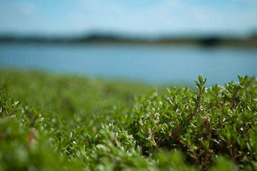 无人,横图,室外,白天,美景,水,英国,欧洲,景观,苔藓,英格兰,水库,风景,天空,自然,景色,摄影,宁静,西欧,自然风光,大不列颠,大不列颠及北爱尔兰联合王国,大不列颠及爱尔兰联合王国,萨塞克斯,萨塞克斯郡,苏塞克斯,东萨塞克斯郡,彩图,大不列颠王国,大英帝国,联合王国,日不落帝国
