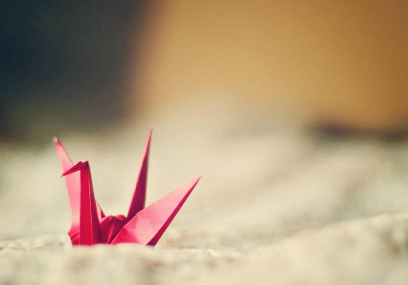 无人,横图,室内,美国,艺术,折纸,纸艺,手工艺品,折叠,文化,一个,粉色,纸鹤,纸制品,工艺品,摄影,单个,创造力,高雅,内华达州,工艺折纸,自信心,品位,里诺,美术工艺,彩图