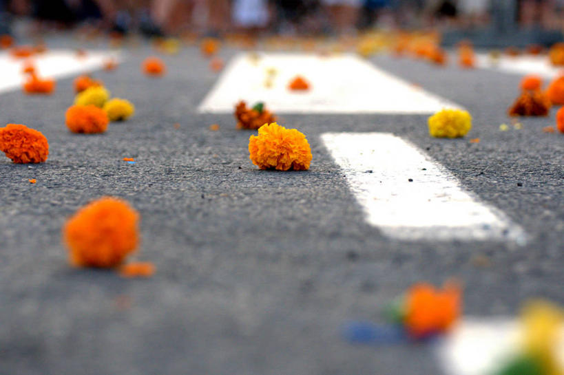 无人,横图,室外,白天,路,西班牙,路标,花,自然,橙色,摄影,脆弱,沥青,巴伦西亚省,彩图