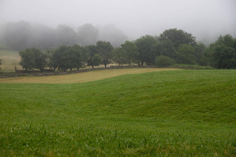 无人,横图,室外,白天,雾,西班牙,地形,天气,草,树,天空,自然,摄影,宁静,纳瓦拉,彩图