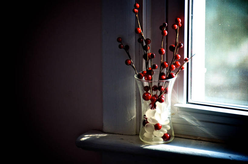 无人,横图,室内,白天,窗户,浆果,花瓶,日光,加拿大,枝,饮食,窗台,摄影,清新,彩图