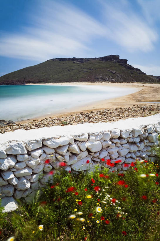 无人,竖图,室外,白天,海洋,美景,山,希腊,岛,景观,石墙,花,风景,自然,景色,摄影,宁静,脆弱,自然风光,米克诺斯岛,海滩,彩图