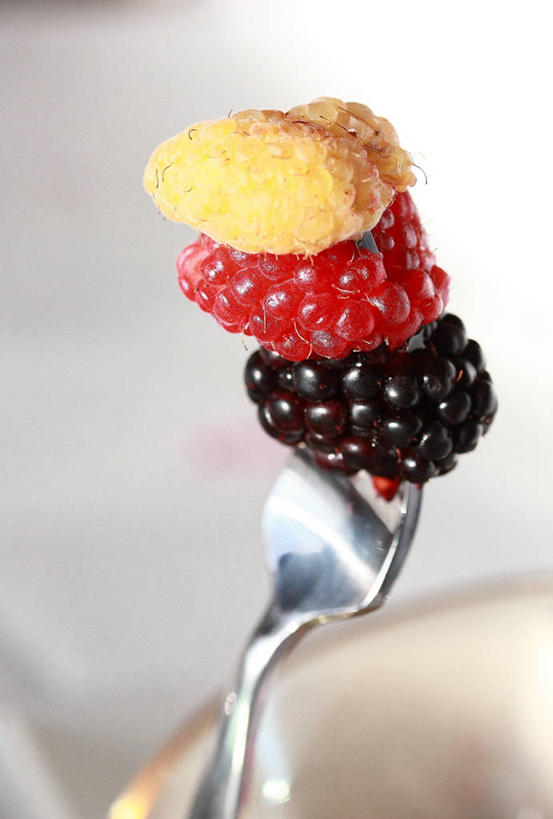 无人,竖图,室内,特写,浆果,水果,加拿大,叉,饮食,覆盆子,摄影,多样,清新,健康食物,黑刺莓,彩图