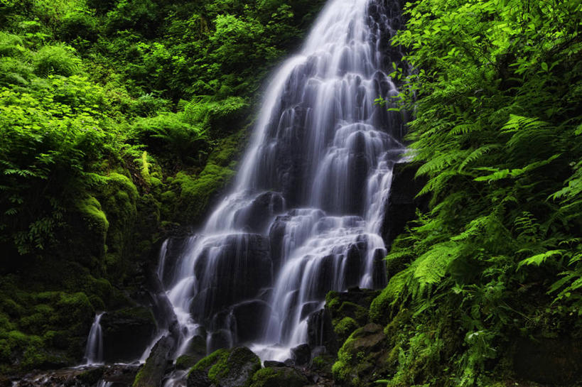 无人,横图,室外,白天,长时间曝光,美景,瀑布,美国,景观,流水,自然,景色,摄影,宁静,蕨类,自然风光,沟壑,俄勒冈州,哥伦比亚河谷,彩图