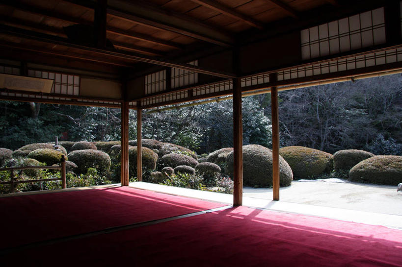 无人,横图,室内,白天,地毯,日光,日本,日本文化,树,自然,摄影,灌木,岩石,彩图