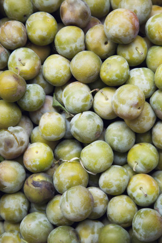 无人,竖图,室外,特写,白天,背景,水果,法国,欧洲,许多,丰富,食品,市场,很多,饮食,青梅,摄影,西欧,清新,法兰西,健康食物,法兰西共和国,法兰西第五共和国,朗格多克.鲁西永,朗格多克.鲁西永大区,彩图,全画面,全框架,全帧,全画幅,贝塞尔