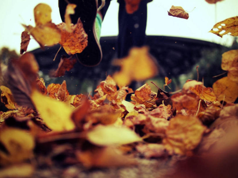 腿,一个人,横图,室外,白天,叶子,英国,踢,天气,摄影,部分,改变,恶作剧,四肢,秋天,步行,彩图