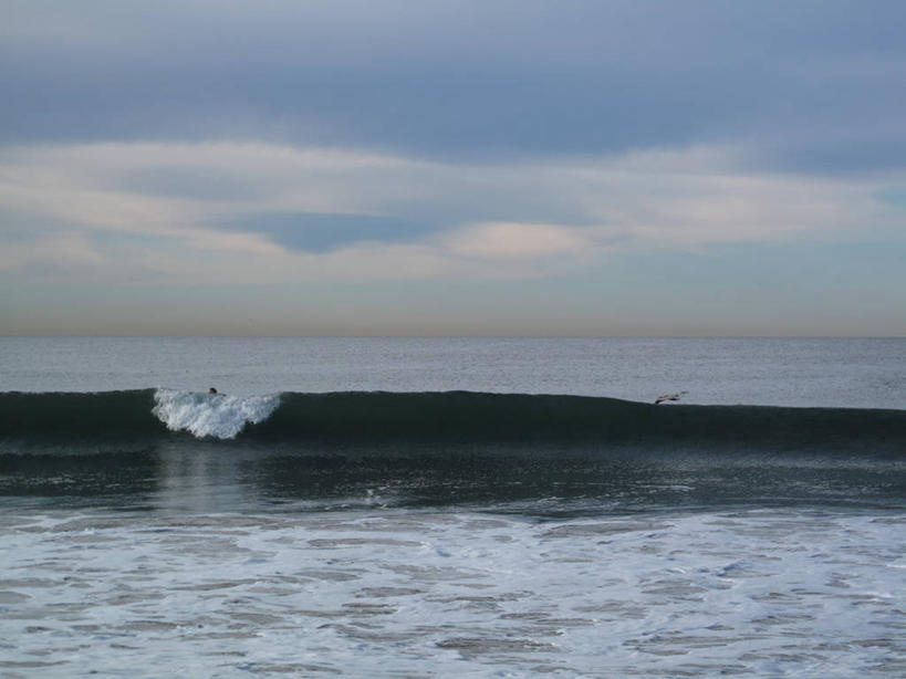 冲浪,无人,横图,室外,白天,海洋,美景,美国,鸟类,景观,水平线,云,飞,天空,自然,波浪,景色,摄影,宁静,加利福尼亚,自然风光,圣莫尼卡,海滩,彩图