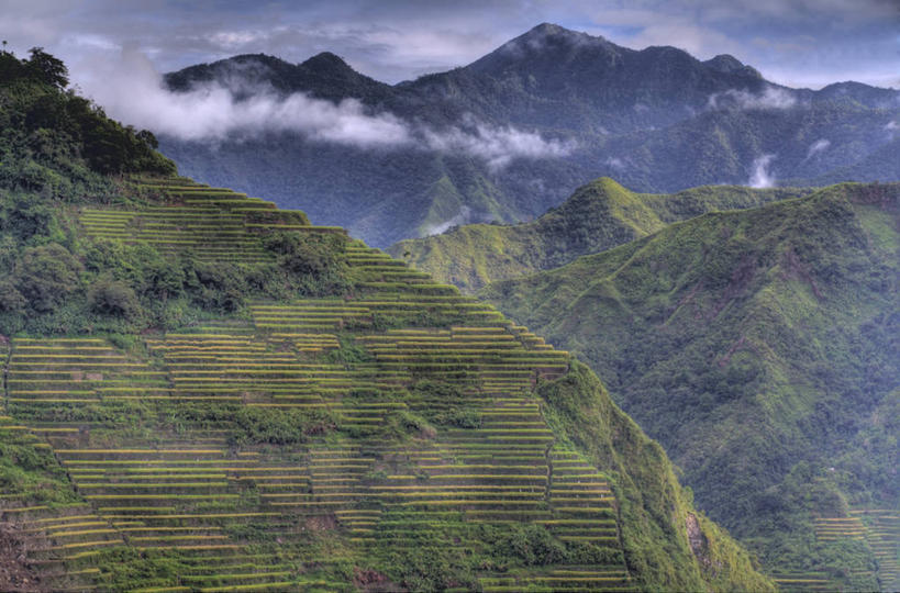 无人,横图,室外,白天,农业,梯田,山,山脉,菲律宾,稻田,地形,云,天空,自然,摄影,生长,宁静,彩图
