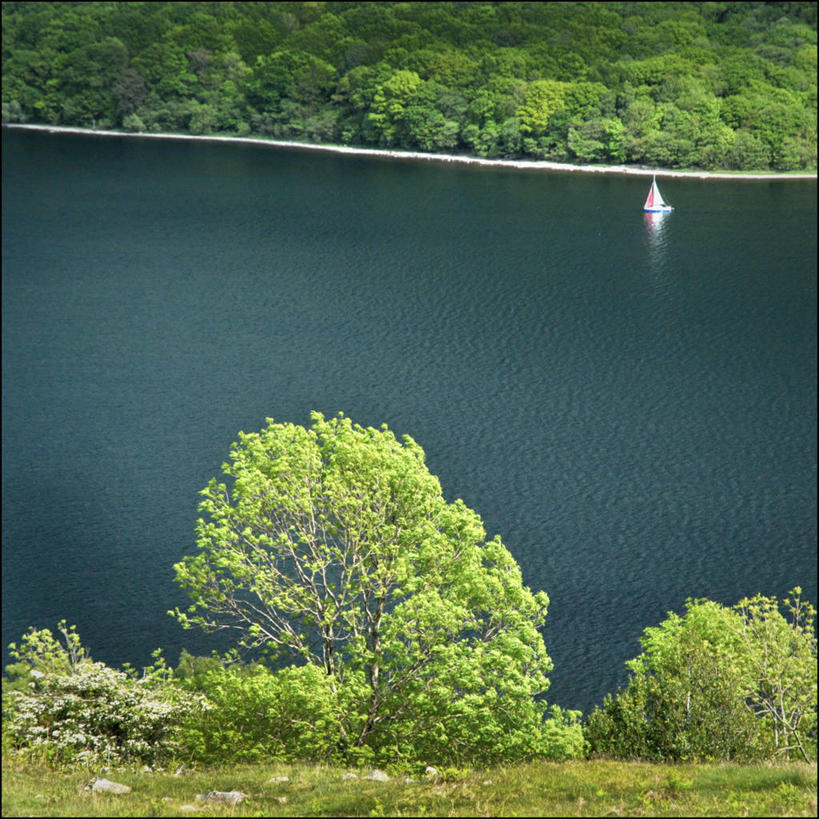 无人,方图,俯视,室外,白天,湖,水,船,英国,树,自然,运输,摄影,宁静,坎布里亚,彩图,高角度拍摄