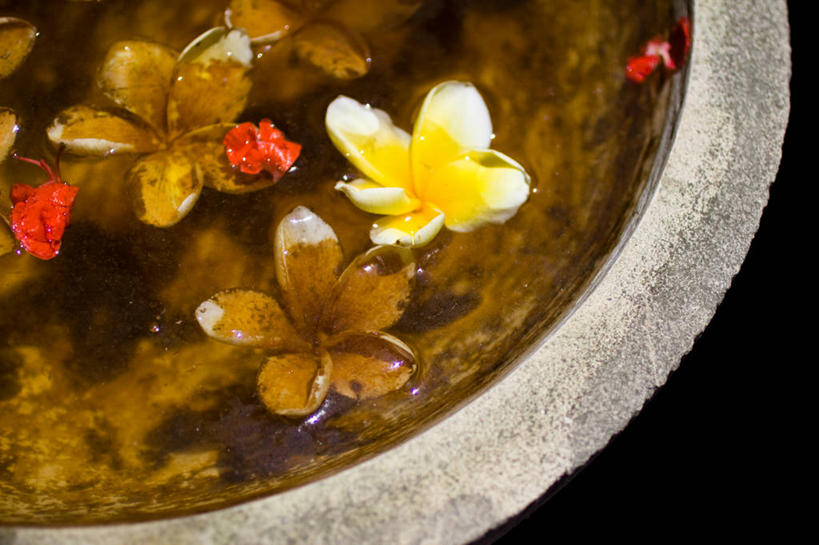 无人,横图,特写,水,喷泉,印度尼西亚,黑色背景,漂浮,花,摄影,肮脏,部分,脆弱,邋遢,龌龊,污秽,彩图,影棚拍摄,巴厘