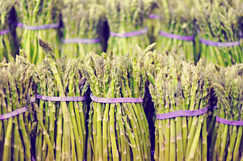 无人,横图,室外,白天,购物,消费,蔬菜,美国,一排,许多,丰富,整齐,生食,集市,市场,很多,串,捆,排列,紫色,线绳,零售,金融,摄影,北美,北美洲,队列,美洲,选购,贸易,北卡罗来纳州,北亚美利加洲,亚美利加洲,北卡罗来纳,焦油脚根之州,黑油鞋根之州,老北州,一致,罗利,橡皮圈,彩图,美利坚合众国