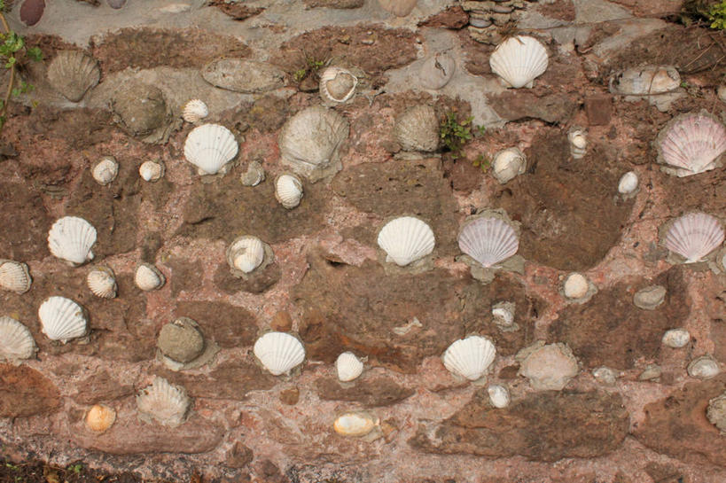 无人,横图,室外,白天,贝壳,英国,墙,石墙,摄影,多样,宁静,海滩,彩图