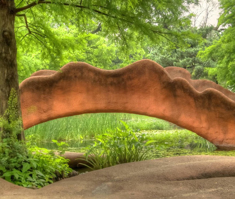 无人,横图,室外,白天,美国,桥,联系,树,树干,自然,摄影,德克萨斯,达拉斯市,彩图