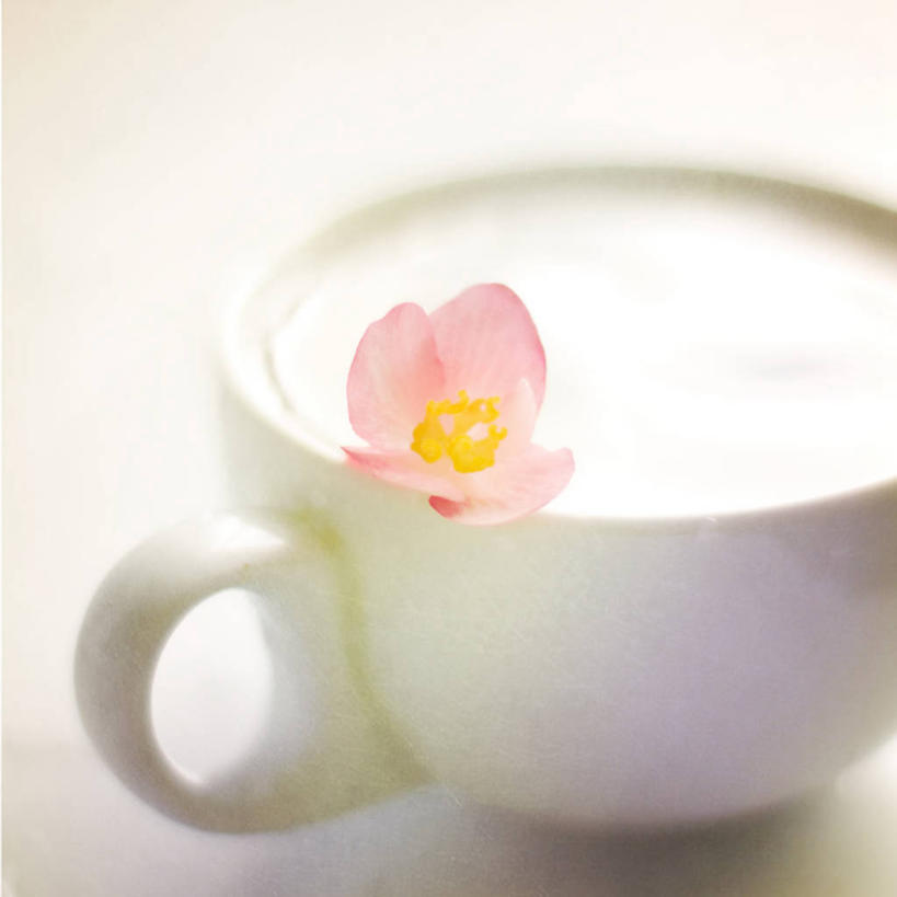 无人,方图,室内,特写,白天,下午茶,静物,日光,坦桑尼亚,粉色,健康,摄影,宁静,脆弱,逆光,柔和,茶杯,彩图,达累斯萨拉姆