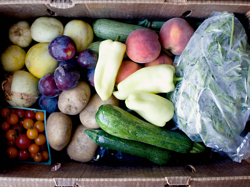 无人,横图,俯视,特写,黄瓜,蔬菜,水果,美国,许多,丰富,塑胶,很多,饮食,盒子,桃,摄影,多样,选择,健康食物,樱桃番茄,马铃薯,彩图,高角度拍摄