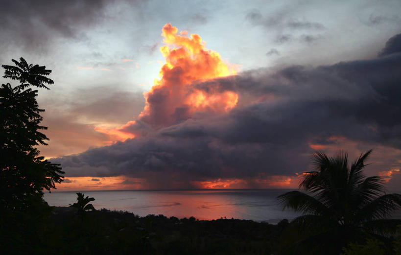 无人,横图,室外,日落,日光,加勒比海,特立尼达和多巴哥,云,树,天空,自然,大西洋,摄影,宁静,西印度群岛,多巴哥岛,椰子树,彩图