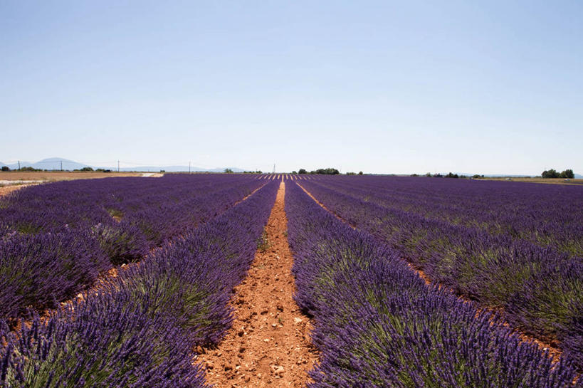 横图,法国,摄影