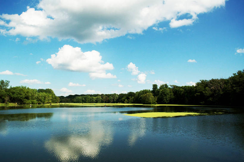 无人,横图,室外,白天,美景,美国,反射,池塘,景观,云,树,风景,天空,自然,景色,摄影,宁静,自然风光,伊利诺斯州,绿藻,彩图