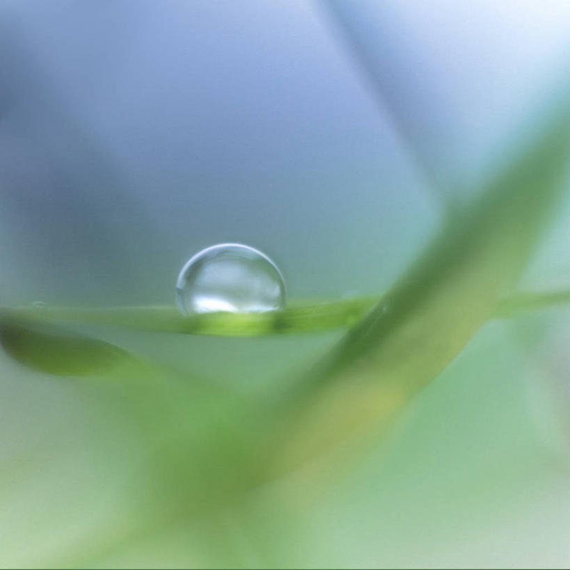 无人,方图,室外,特写,白天,雨,叶子,坦桑尼亚,水滴,天气,自然,摄影,清新,纯净,彩图,达累斯萨拉姆