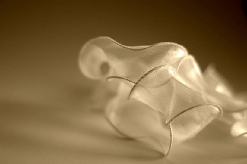 无人,横图,室内,特写,白天,德国,弯曲,束发带,白色,摄影,高雅,德累斯顿,萨克森,彩图