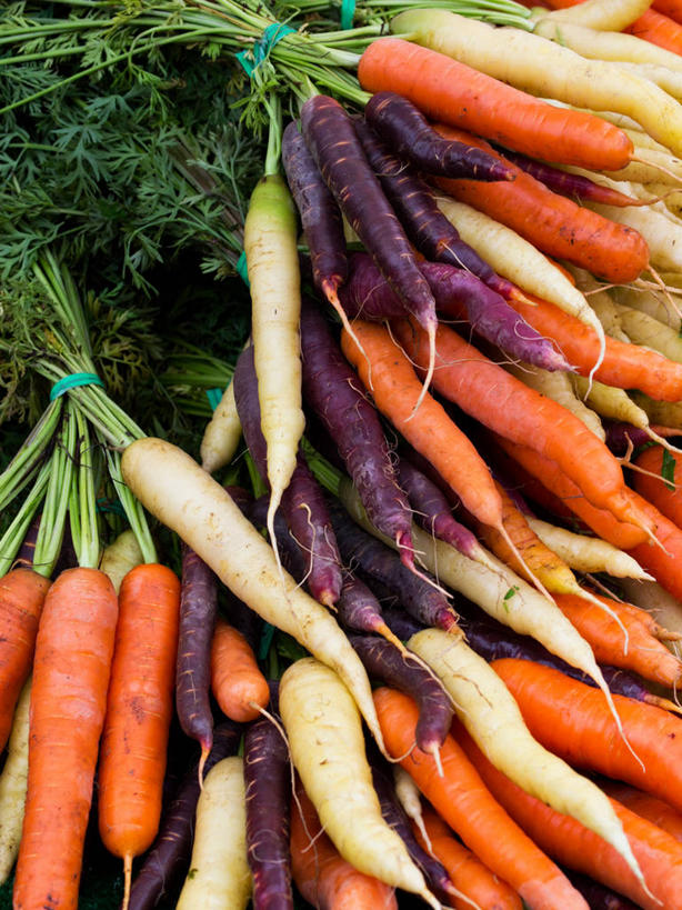 无人,竖图,室外,白天,胡萝卜,叶子,美国,丰富,串,饮食,紫色,白色,橙色,摄影,多样,清新,健康食物,西雅图,彩图