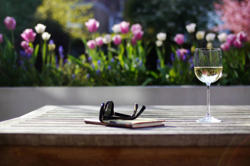 葡萄酒,无人,横图,室外,白天,桌子,郁金香,英国,眼镜,首都,自然,摄影,日记,葡萄酒杯,玻璃杯,彩图