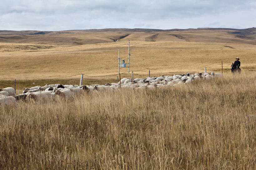 横图,摄影,青海省