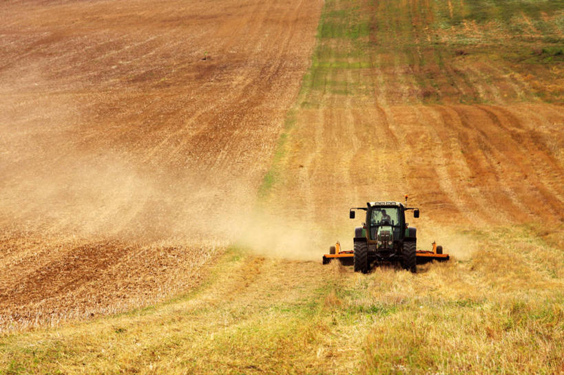 成年人,一个人,横图,室外,白天,农业,技术,法国,仅一个男性,田地,草,自然,运输,摄影,收获,宁静,拖拉机,布根地,彩图