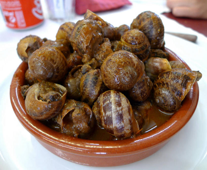 无人,横图,室内,特写,西班牙,丰富,饮食,碗,摄影,清新,法式食品,法国文化,健康食物,开胃酱,海产,彩图