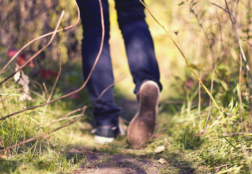 一个人,横图,室外,运动鞋,树林,加拿大,小路,休闲装,草,背面,自然,摄影,多伦多,步行,彩图