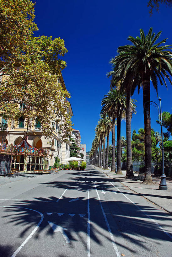 无人,竖图,室外,白天,城市,建筑,街道,指示牌,棕榈树,意大利,欧洲,一排,阴影,整齐,标志,文字,方向,标识,箭头,树,排列,摄影,宁静,指向,队列,南欧,意大利文化,万里无云,意大利共和国,利古里亚,簇,利古里亚大区,彩图,拉斯佩齐亚省